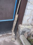 стволы 014.JPG