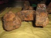 kop 011.jpg