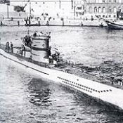 u215.jpg