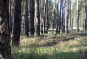 P1010069-2.jpg