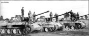 Tr097.jpg