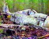 Фоке-Вульф 190.jpg