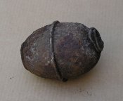 IMGP4734.JPG