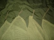 DSC06855.jpg