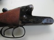 4964546.jpg