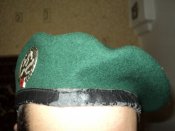 Берет Швейцария + знак .