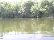 Водный Мир. 007.jpg
