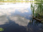 Водный Мир. 014.jpg