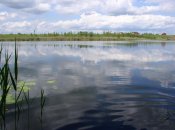 Водный Мир. 015.jpg