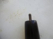 P1010006.JPG