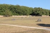 IMG_2361-1.jpg