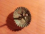IMG_20200116_164325.jpg