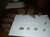 IMG_20200116_223125.jpg