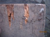 IMG_1586.JPG