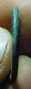 DSCN7233.jpg