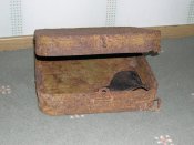 DSCN5888.jpg