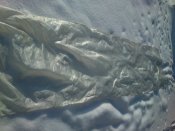 DSC_3011.JPG