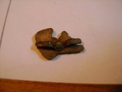 DSC09698.JPG