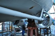 DSC_6793.jpg