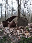 IMG_20200118_160258.jpg