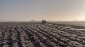 DSC_2645.jpg
