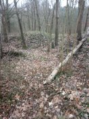 IMG_20200120_154107.jpg