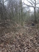 IMG_20200120_153836.jpg