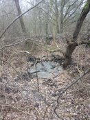 IMG_20200120_153811.jpg