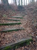 IMG_20200116_154028.jpg