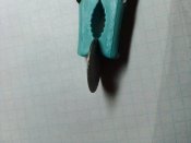 IMG_20200120_203811.jpg
