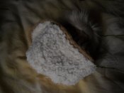 DSCN7499.JPG