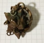 IMG_20200123_181001.jpg
