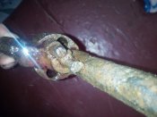 IMG_20200124_100546.jpg