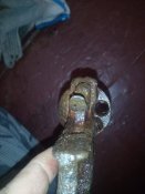 IMG_20200124_100528.jpg