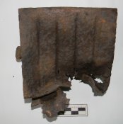 DSCN5361.jpg