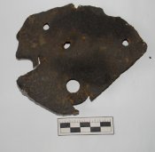DSCN5358.jpg