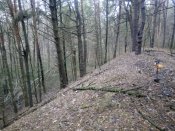 IMG_20200125_151424.jpg