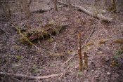 DSC08674.JPG