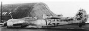 Dora W.nr 210079_Lt Teo Nibel-2.JPG