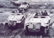 sdkfz250ne251.jpg