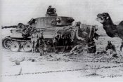 501fot.jpg