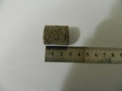 DSCN1200.JPG