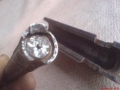 DSC01568.jpg