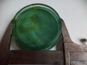 DSC00785.jpg