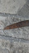 IMAG3966.jpg