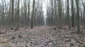 IMG_20200126_090805.jpg