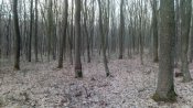 IMG_20200126_091418.jpg