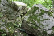 IMG_1201.JPG