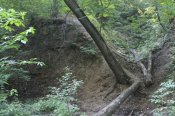 IMG_1213.JPG