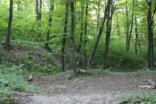 IMG_1216.JPG